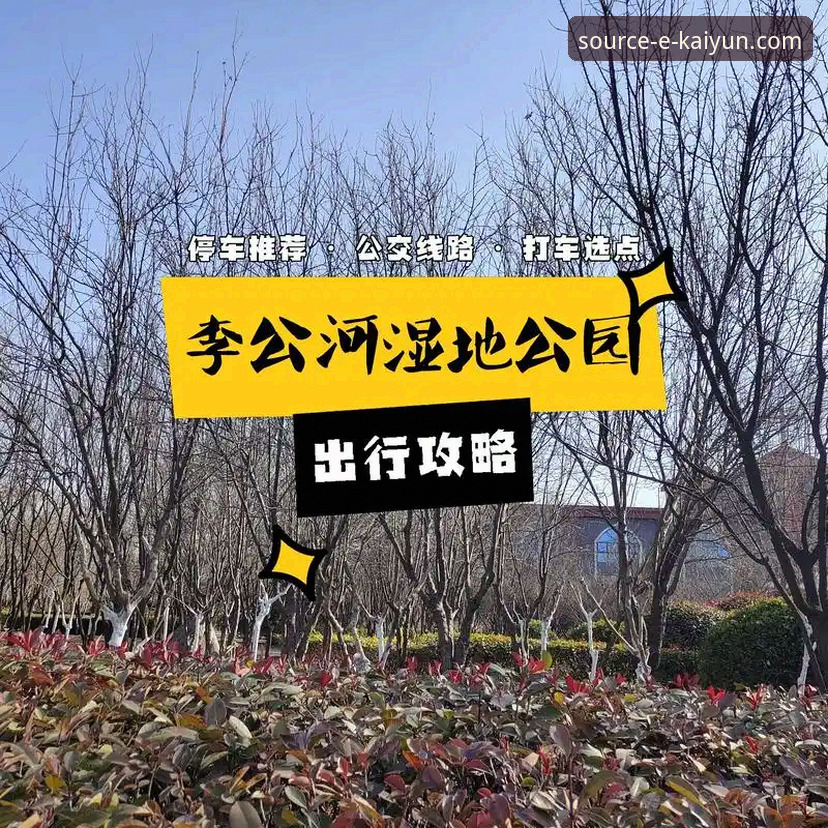 开云KY官方网站 开云体育平台高效使用指南:从官方入口到活动参与完整攻略